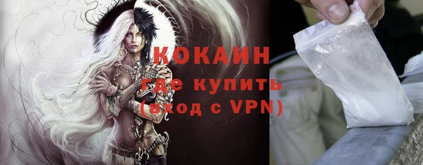 кокс Вяземский