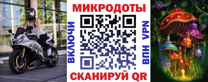 Купить где  Остров  Псилоцибиновые грибы Psilocybe 