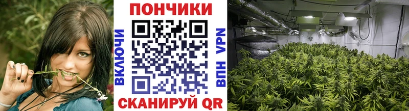 Марихуана MAZAR  Купить  Остров 